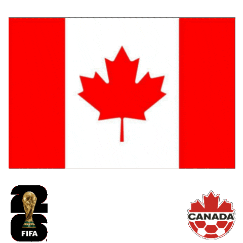 World Cup Football Sticker by Pudgy Penguins
