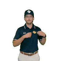 Clarke Golf Sticker by Clarke University