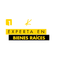 Expertapaolakaiser Sticker by Secretaria UNO corp