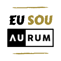 Brazilian Jiu Jitsu Sticker by AURUM BJJ