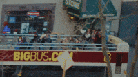 eastside w my dogs