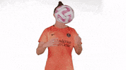 Houston Dash Sport GIF by National Women's Soccer League