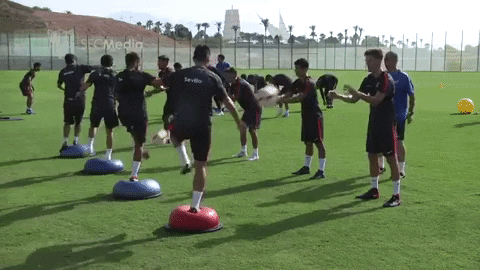 la liga soccer GIF by Sevilla Fútbol Club