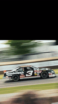 josiah_kopp america nascar hell yeah dale earnhardt GIF