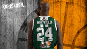 Basketball Hoops GIF by Basket_fi