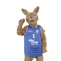 social-media-easycredit basketball easycredit thumpup ellihoop Sticker