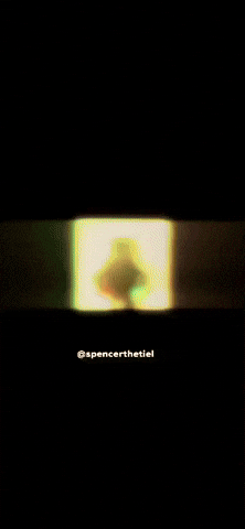 spencerthetiel meme instagram bird pet GIF