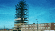 GIF by Binghamton University