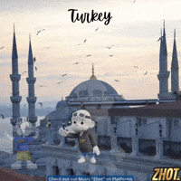 Turkey Istanbul GIF by Zhot