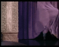 Mood Fail GIF by JustViral.Net