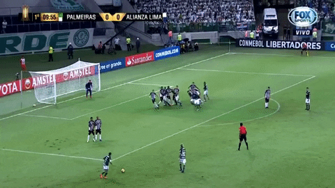 alianza lima libertadores GIF by SE Palmeiras