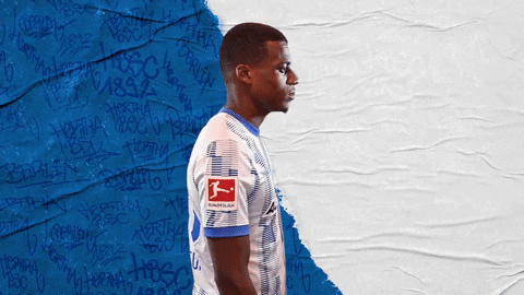 Bundesliga Berlin GIF by Hertha BSC