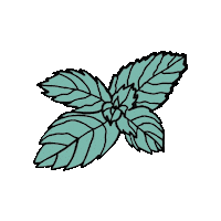 Mint Sticker by Peppersmith