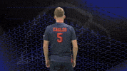 Armscrossed GIF by Carson-Newman Athletics