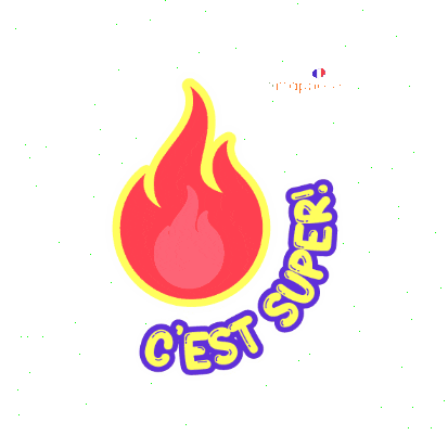 jemappelleinstitut giphygifmaker francais aprendefrances jemappelle Sticker