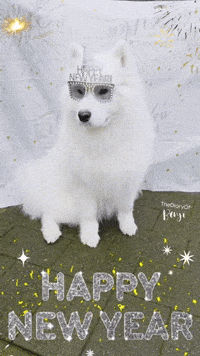 Happy New Year Firework GIF