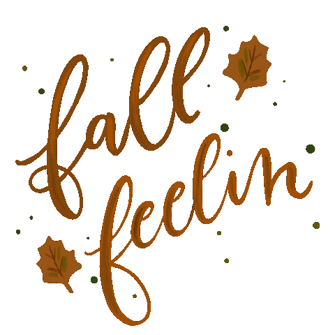 Makewells giphyupload fall autumn fall leaves Sticker