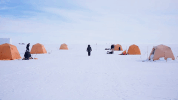 dartmouthgif dartmouthgreenland GIF by Dartmouth College