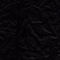 dpakworld music artist 2024 quarantine GIF