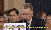 news impeachment impeachment inquiry kurt volker GIF