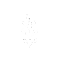 Aesthetics Wite Sticker