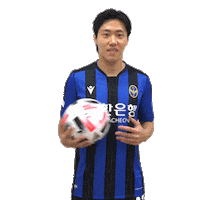 No17 Sticker by Incheon United FC