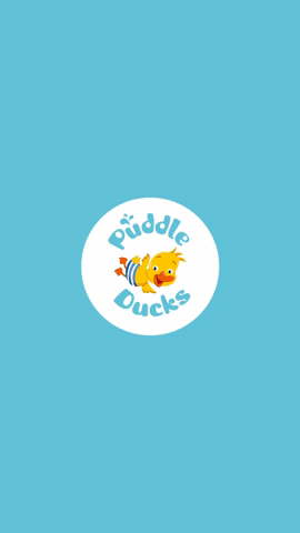 puddleduckshq giphyupload GIF