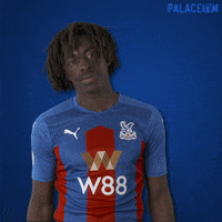 Premier League Yes GIF by CPFC