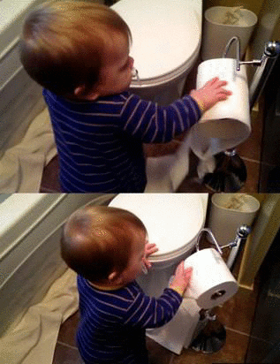 Toilet Paper Babies GIF