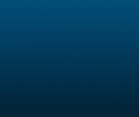 Brynne4Congress internet california congress election2020 GIF