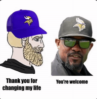 Minnesota Vikings GIF