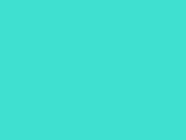 Dog Jumping GIF by Juan Billy