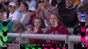 Cricket GIF by The Hundred