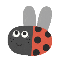 Sorry Oh No Sticker