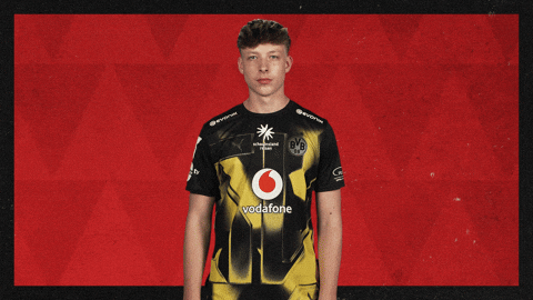 Borussia Dortmund Football GIF by Bundesliga