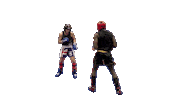 Kickboxing Wako Sticker by Brannmanndan