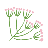 pink flower Sticker by Tok&Stok
