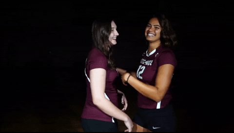 Littlerockvb GIF by Little Rock Athletics
