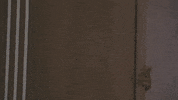 Scared A Little Late With Lilly Singh GIF by Lilly Singh