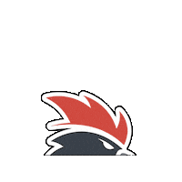 Futbol Deporte Sticker by TDLA