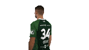 hsgwetzlar handball-bundesliga wetzlar hsg wetzlar hsgwetzlar Sticker
