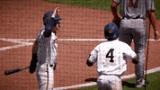 thomas michiganbaseball GIF by Michigan Athletics