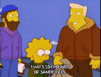 lisa simpson GIF