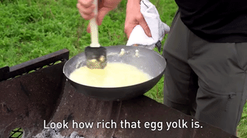 Look How Rich That Egg Yolk Is