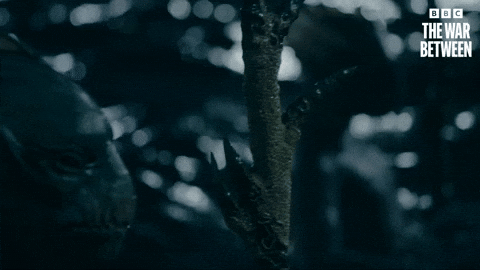 Whoniverse GIF by Doctor Who