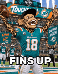 National Football League GIF by Boring Merch
