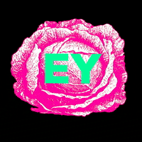Yorkshire Ey Up GIF by Cabbage Patch Bakery