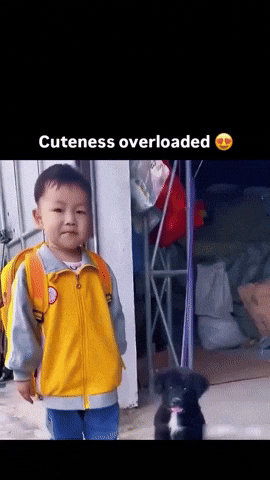 Puppy Kid GIF