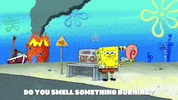 season 9 gary's new toy GIF by SpongeBob SquarePants