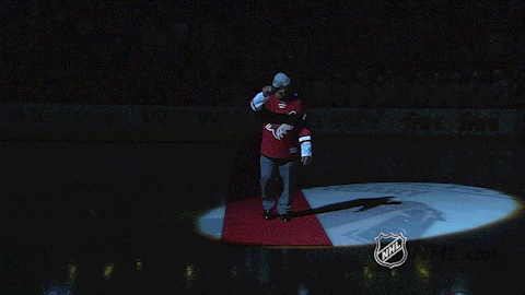 Ice Hockey GIF by NHL